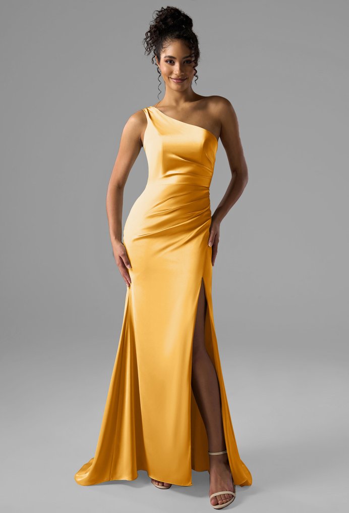 AW Rohan Dress